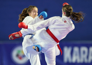2026 ONAKAI Karate Irish Open