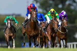 Leopardstown Racecourse Irish Champions Festival