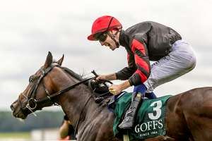 The Curragh Irish Champions Festival
