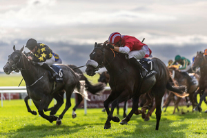 The Curragh Irish Champions Festival