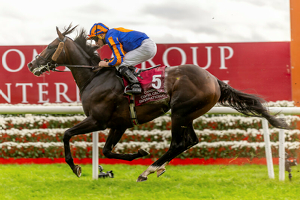 The Curragh Irish Champions Festival