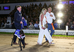 2026 BOYLE Sports Irish Greyhound Derby