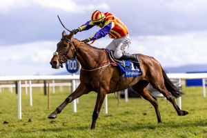 2026 Fairyhouse Easter Festival - Sunday