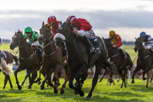 The Curragh Irish Champions Festival