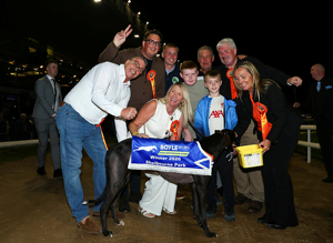 2026 BOYLE Sports Irish Greyhound Derby