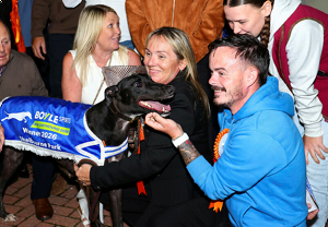 2026 BOYLE Sports Irish Greyhound Derby