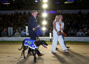 2026 BOYLE Sports Irish Greyhound Derby