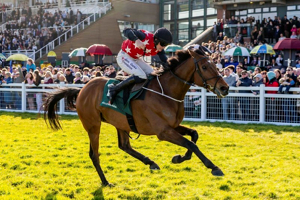 2026 Fairyhouse Easter Festival - Sunday