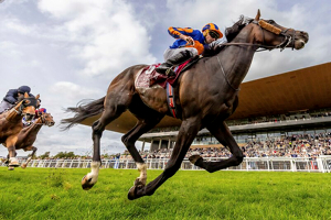 The Curragh Irish Champions Festival