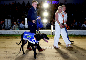 2026 BOYLE Sports Irish Greyhound Derby