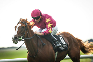 The Curragh Irish Champions Festival