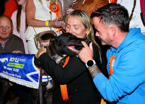 2026 BOYLE Sports Irish Greyhound Derby