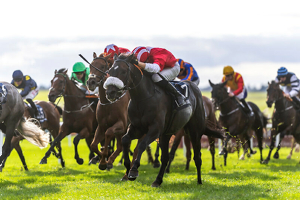 The Curragh Irish Champions Festival