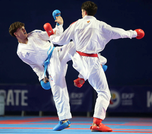 2026 ONAKAI Karate Irish Open