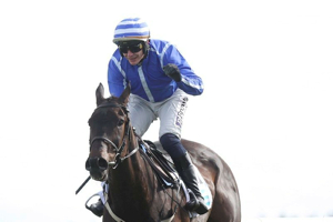 2026 Fairyhouse Easter Festival - Monday