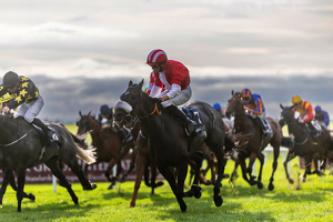 The Curragh Irish Champions Festival