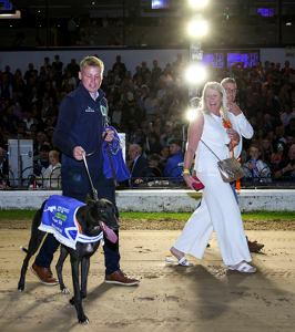 2026 BOYLE Sports Irish Greyhound Derby