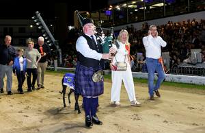 2026 BOYLE Sports Irish Greyhound Derby