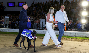 2026 BOYLE Sports Irish Greyhound Derby
